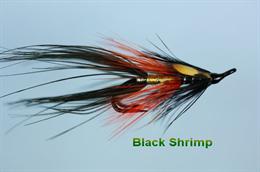 Black Shrimp JC